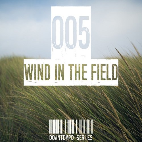 VA - Wind In The Field (Downtempo Series) Vol.005 (2017)