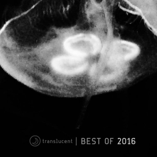VA - Translucent (Best Of 2016) (2017)