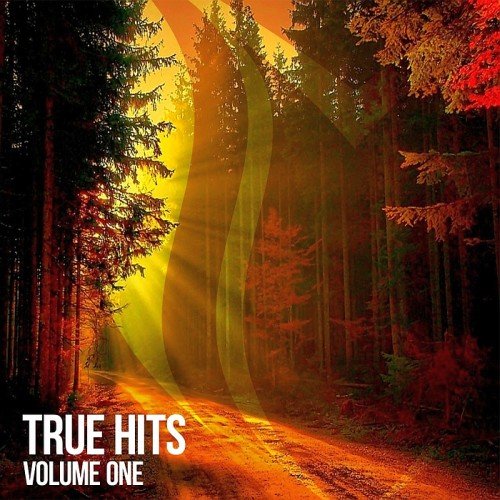 VA - True Hits Vol. 1 (2017)