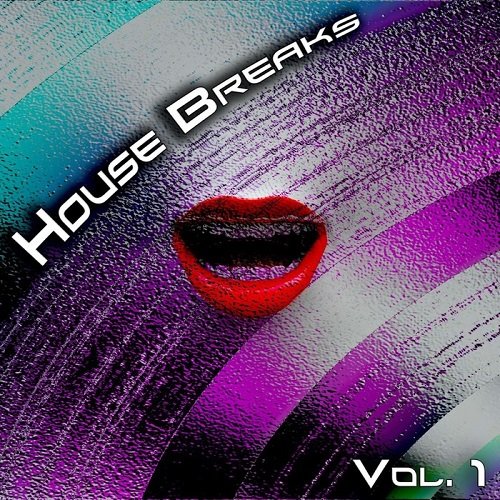 VA - House Breaks Vol.1 (2017)