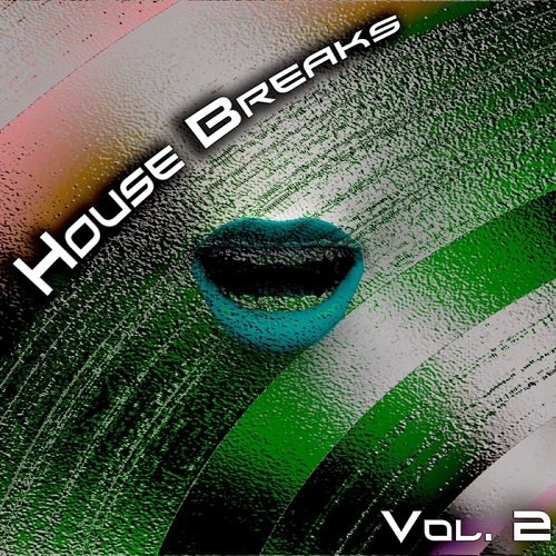 VA - House Breaks Vol.2 (2017)