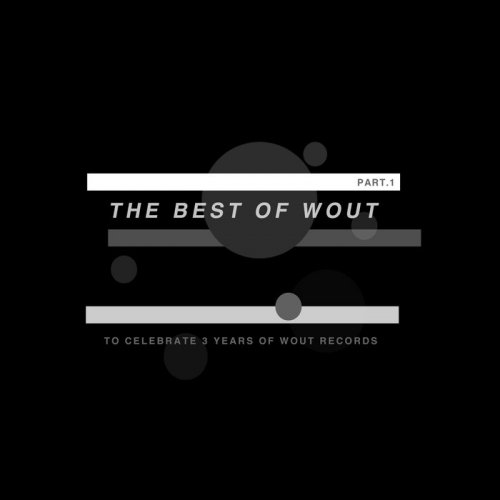 VA - The Best Of Wout Pt 1 (2017)