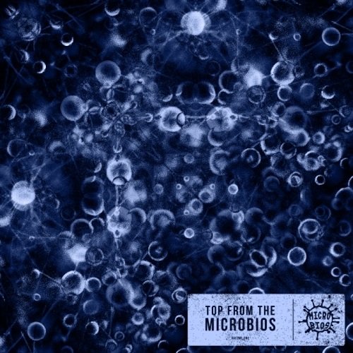 VA - Top From The Microbios (2017)