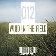 VA - Wind In The Field (Downtempo Series) Vol.012 (2017)
