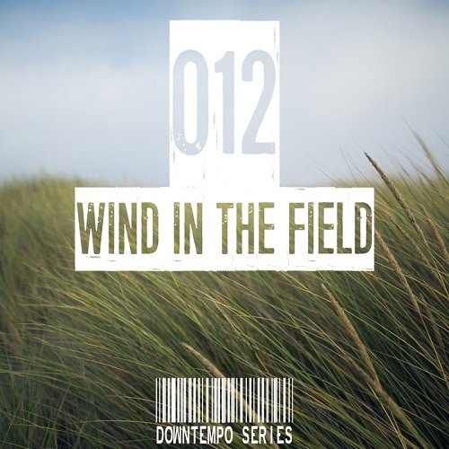 VA - Wind In The Field (Downtempo Series) Vol.012 (2017)