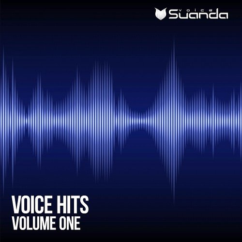 VA - Voice Hits Vol. 1 (2017)