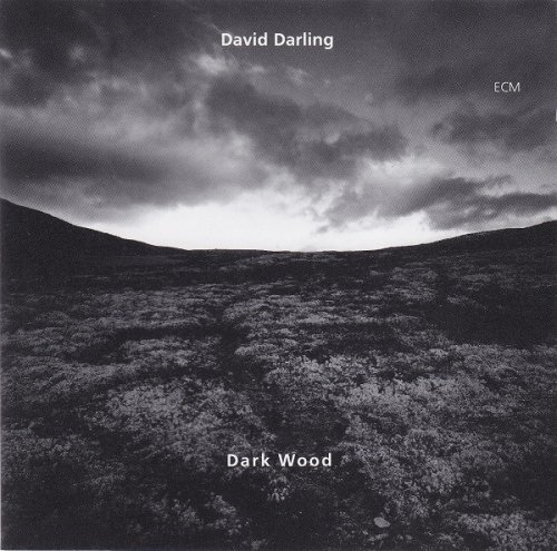 David Darling - Dark Wood (1995) FLAC