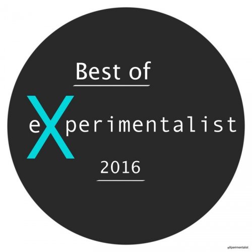 VA - Best Of Experimentalist 2016 (2017)