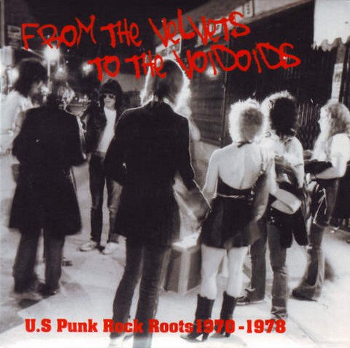 VA - From The Velvets To The Voidoids: US Punk Rock Roots 1970-1978 [2CD] (2007)