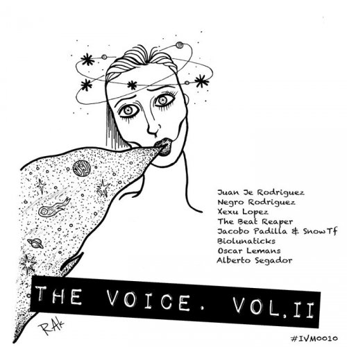 VA - The Voice Vol 2 (2017)