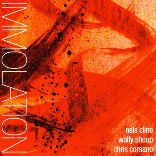 Nels Cline, Wally Shoup, Chris Corsano - Immolation / Immersion (2005)