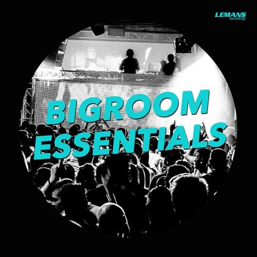 VA - Bigroom Essentials (2017)