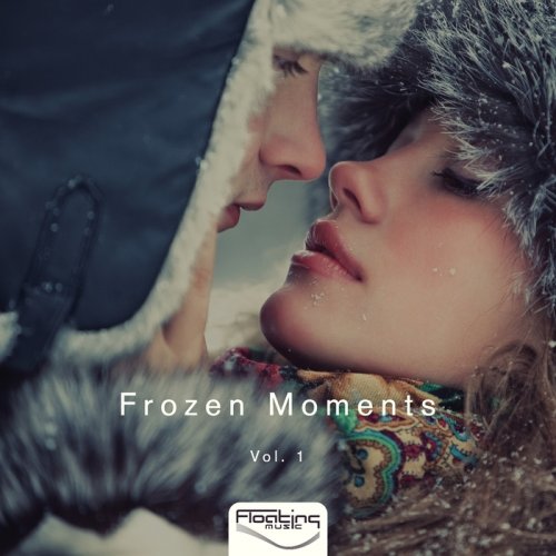 VA -  Frozen Moments Vol.1 (2017)