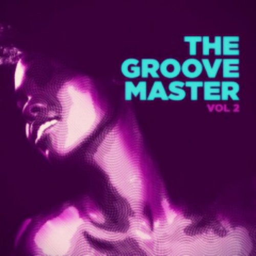 VA - The Groove Master, Vol. 2 (Rare, Cool, Soul, Funk, Mellow) (2016)