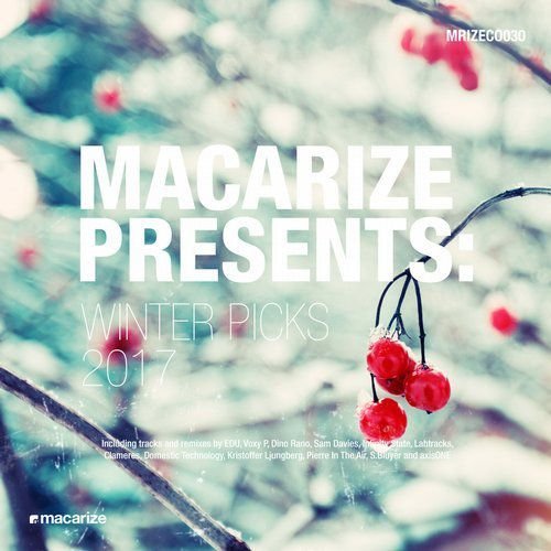 VA - Macarize Winter Picks 2017 (2017)