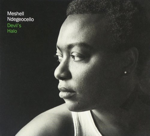 Meshell Ndegeocello - Devil's Halo (2009)