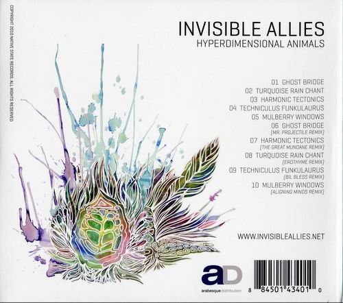 Invisible Allies - Hyperdimensional Animals (2010) Flac