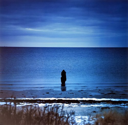 Steven Wilson - Catalogue / Preserve / Amass (2012)