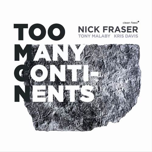 Nick Fraser, Tony Malaby & Kris Davis - Too Many Continents (2015) 320 kbps