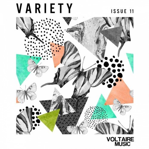 VA - Voltaire Music Present Variety Issue 11 (2017)