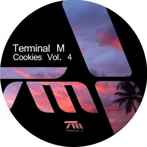 VA - Terminal M Cookies Vol. 4 (2017)