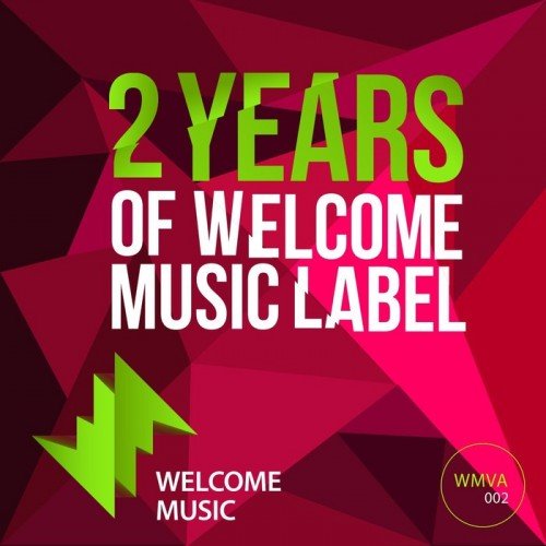 VA - 2 Years Of Welcome Music Label (2017)