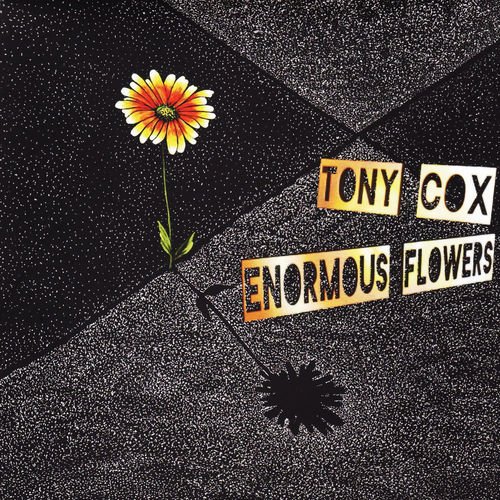 Tony Cox - Enormous Flowers (2017)