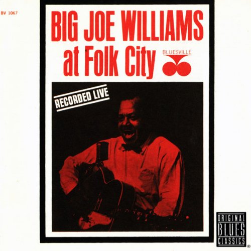 Big Joe Williams - At Folk City (1995)