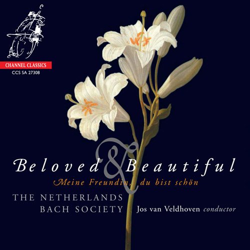The Netherlands Bach Society & Jos van Veldhoven - Beloved & Beautiful (2008)