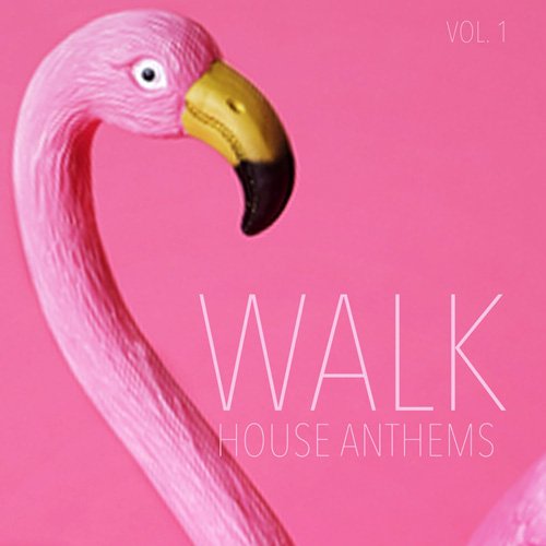 VA - Walk House Anthems Vol. 1 (2017)