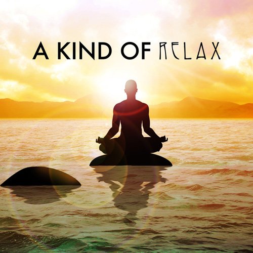 VA - A Kind Of Relax (2017)