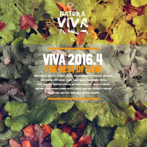 VA - Viva 2016.4 (2017)