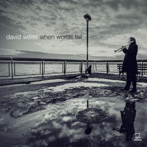 David Weiss - When Words Fail (2014)