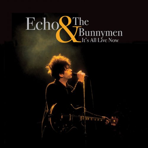 Echo and the bunnymen discography rar