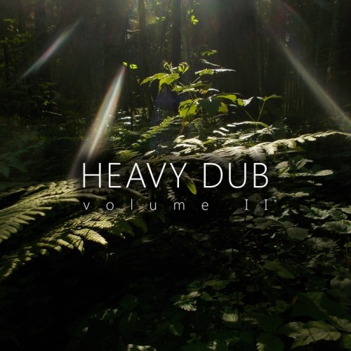 VA - Heavy Dub Vol. 2 (2017)