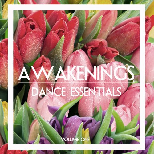 VA - Awakenings Dance Essentials Vol. 1 (2017)