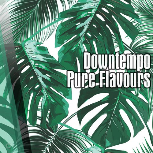 VA - Downtempo Pure Flavours (2017)