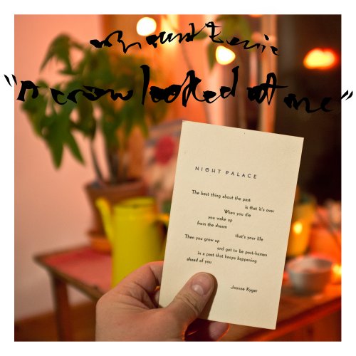 Mount Eerie - A Crow Looked At Me (2017) Lossless