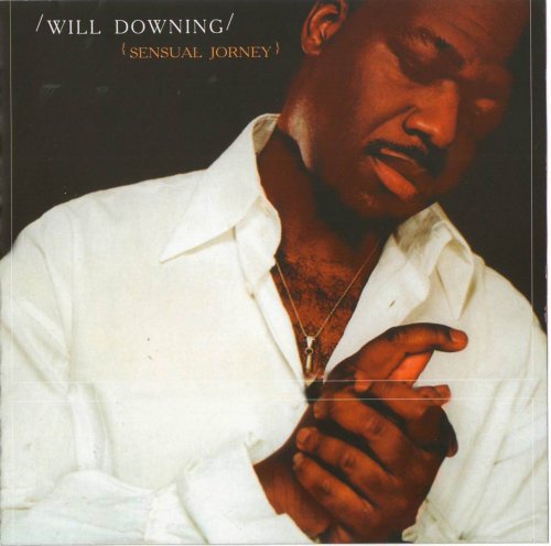 Will Downing - Sensual Journey (2002) MP3 + Lossless