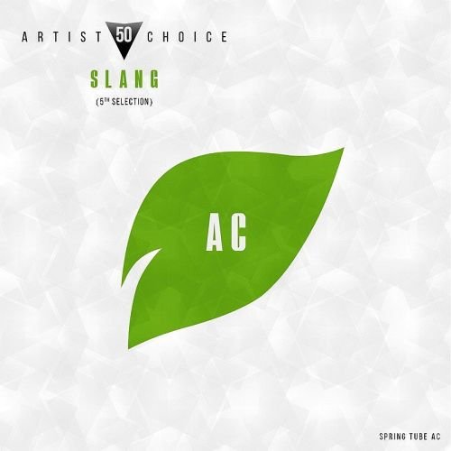 VA - Artist Choice 050 - Slang (5th Selection) (2017)