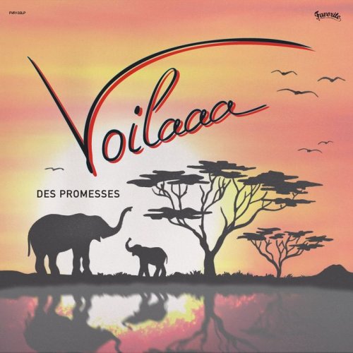 Voilaaa - Des promesses (2017)