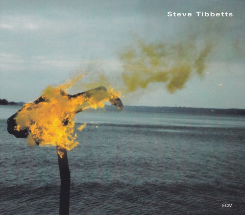 Steve Tibbetts - A Man About A Horse (2002) 320 kbps