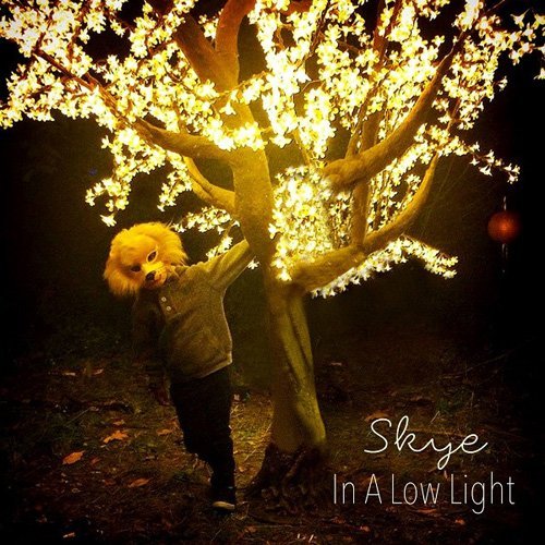 Skye - In A Low Light (2015)
