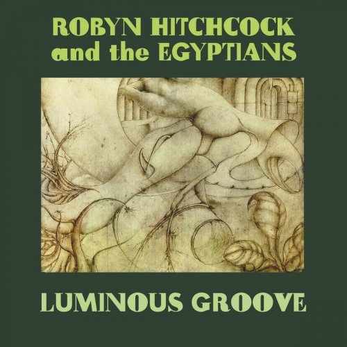 Robyn Hitchcock - Luminous Groove (2008)