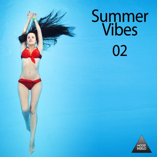 VA - Summer Vibes Vol 02 (2017)