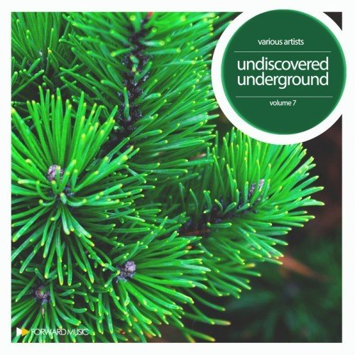 VA - Undiscovered Underground Vol. 7 (2017)
