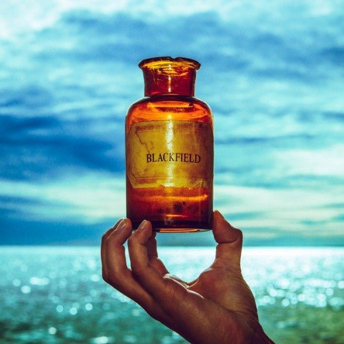 Blackfield - Blackfield V (2017) [HDtracks]