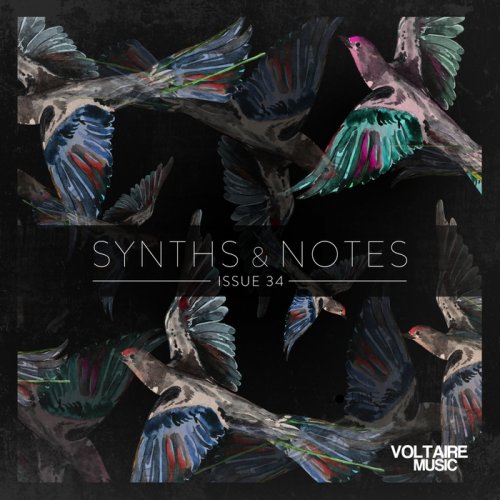 VA - Synths and Notes 34 (2017)
