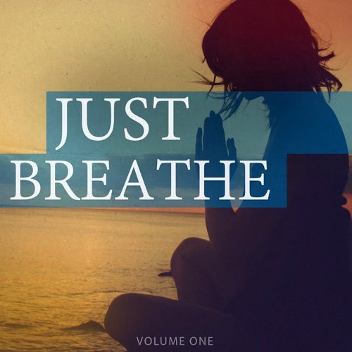 VA - Just Breathe Vol 1 (Breathe In, Breathe Out) (2017)