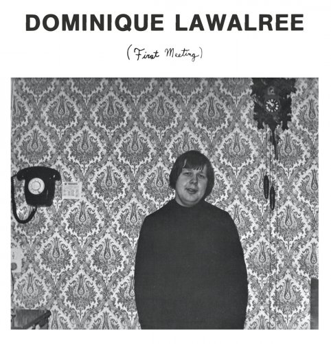 Dominique Lawalrée - First Meeting (2017)